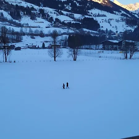 Alpenhof فندق 3*