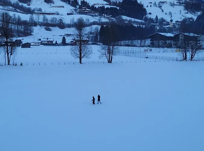 Alpenhof מלון 3*