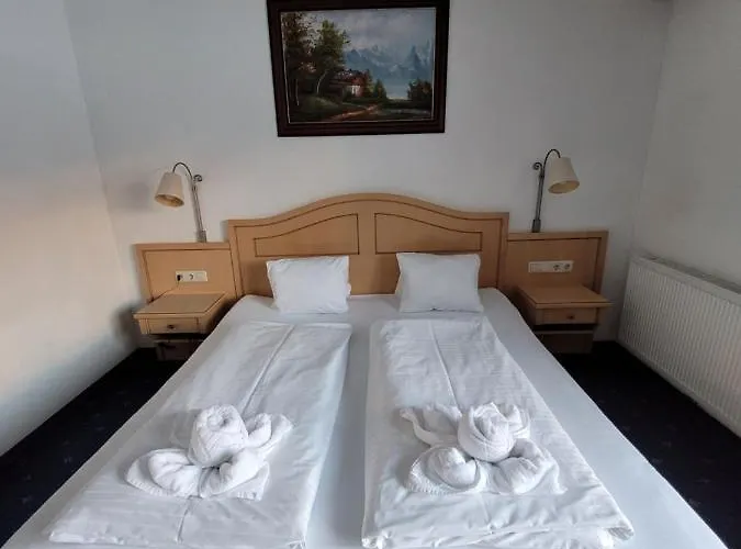 Alpenhof 3* アウラッハ・バイ・キッツビュール