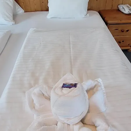 Alpenhof 3* 基茨比厄尔附近奥拉赫